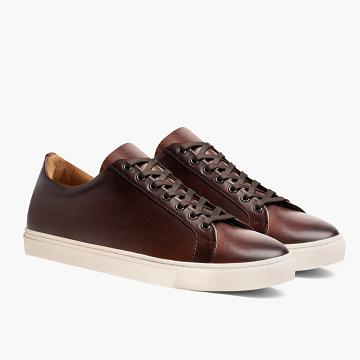 Thursday Boots Premier Low Tops Leren Rugged & Resilient Sneakers Heren Koffie | NL371YXF